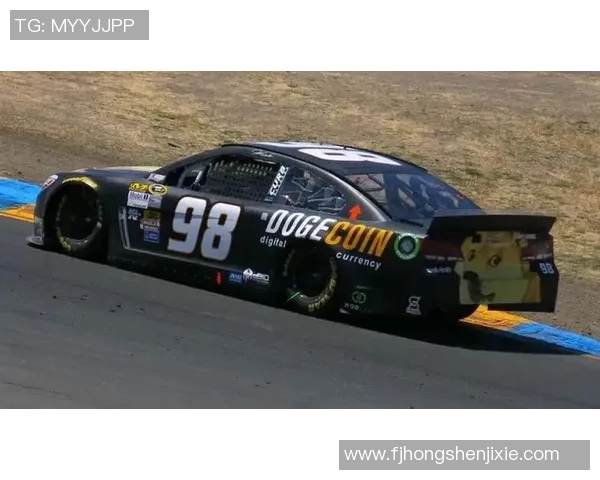 美金赛精彩对决美国队迎战牙买加队期待激烈碰撞与精彩表现